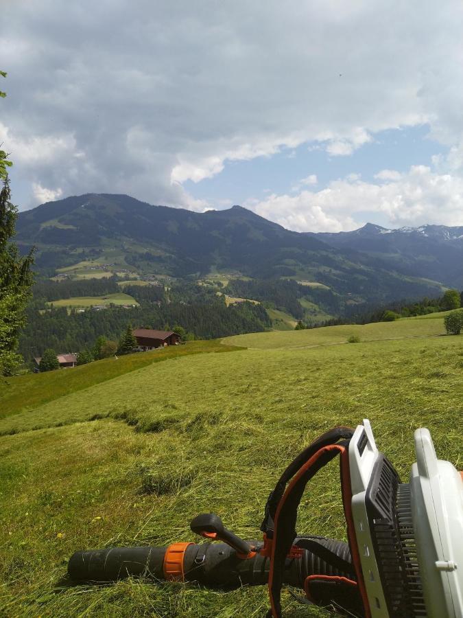Schwemm Moos Apartman Westendorf Kültér fotó